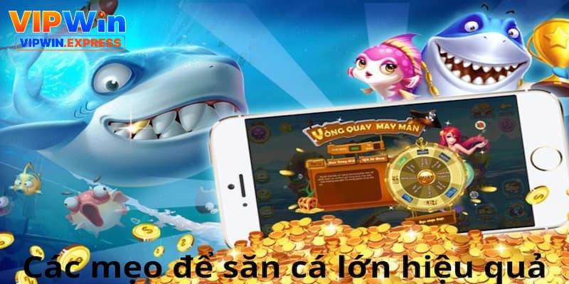 Cách Săn Cá Lớn Trong Game Bắn Cá Online Hiệu Quả Tại VIPWIN